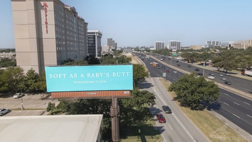 Posh Peanut OOH campaign